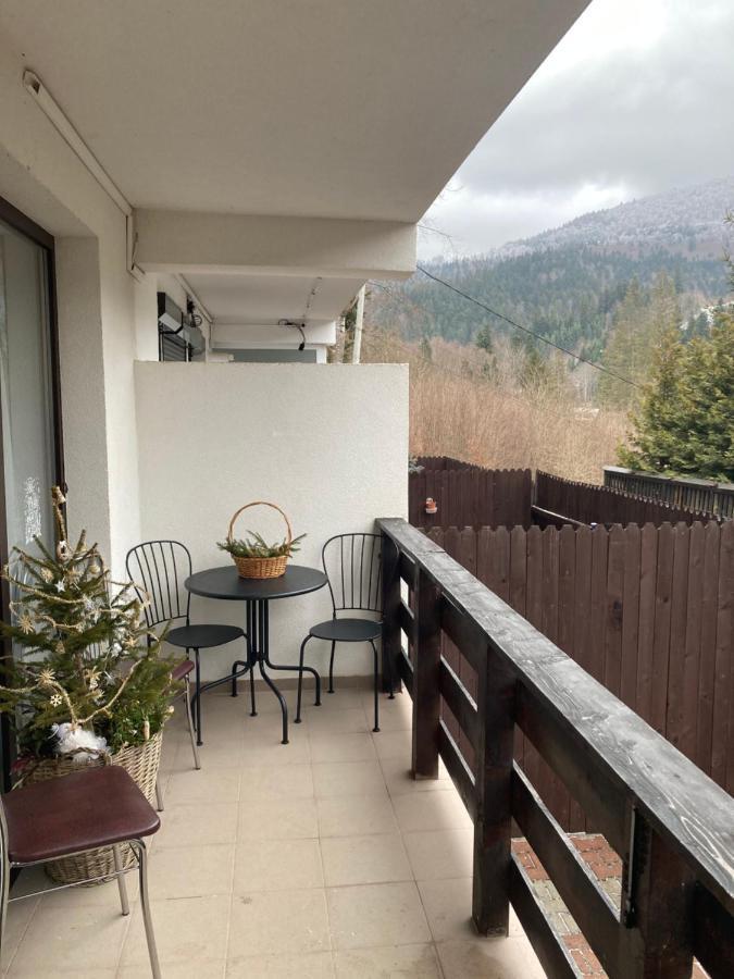 Ski View Studio - Near The Ski Slopes Azuga Exterior foto